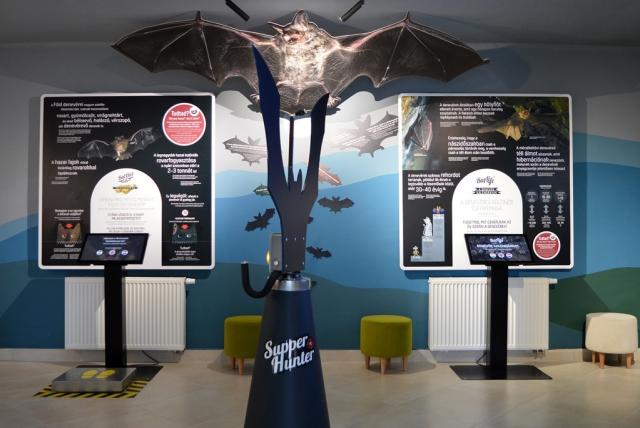 Interior of the Bat Museum