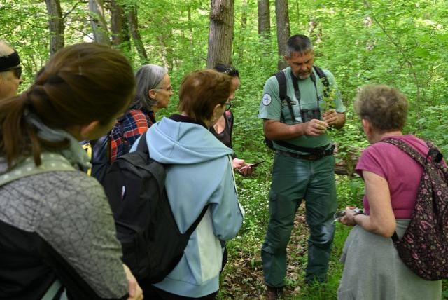 Ranger holds guided tour
