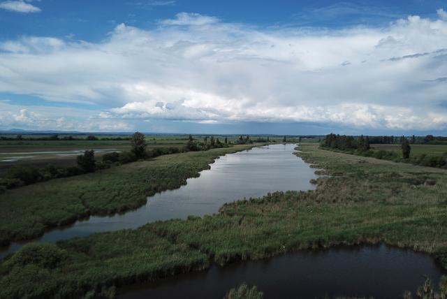 Aerial view of a lake