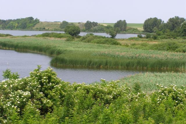 Lake on a floodland