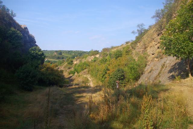 Villány Templom Hill Nature Reserve - quarry