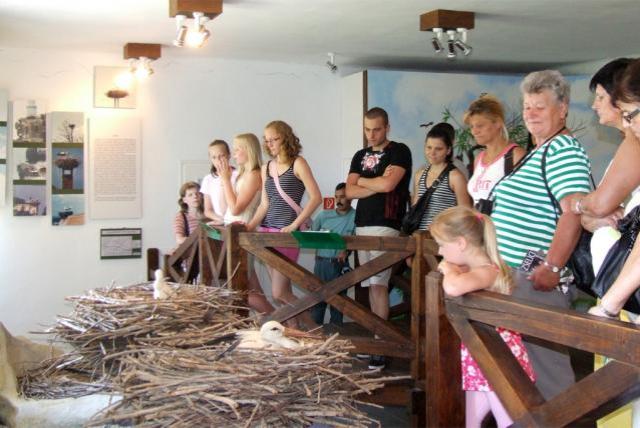 White Stork Museum inside, exhibition