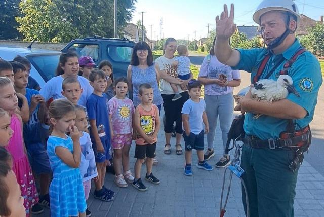 Érdeklődő tekintetű gyerekek figyelik a természetvédelmi őrt, aki egy gólyát tart a karjában