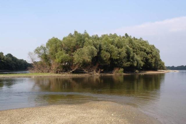 Gemenc, zátony. Folyóvíz egy szigetet ölel körbe. A szigeten sok fa van.