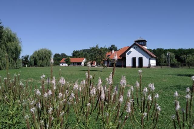 Gyerekek az Ős-Dráva Látogatóközpontban