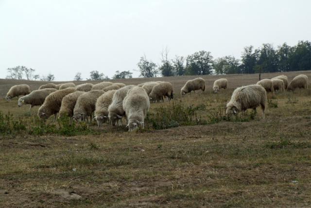 Cikta E-tanösvény