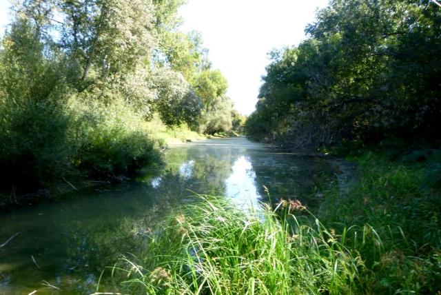 Bezerédi-Duna-ág