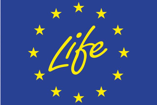 Life logo